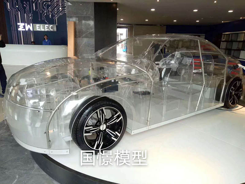 兴国县透明车模型