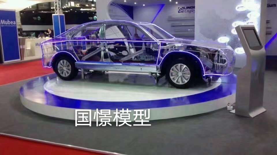 兴国县透明车模型